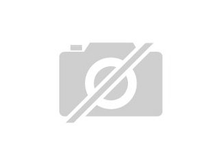 PHP- Programmierer m/w